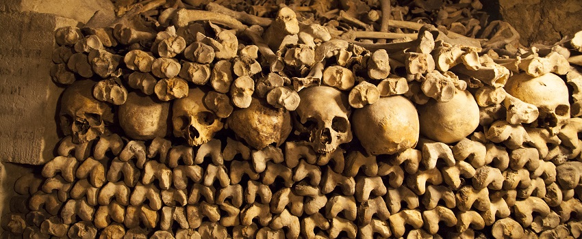 paris catacombs